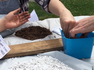 Hands-potting-soil